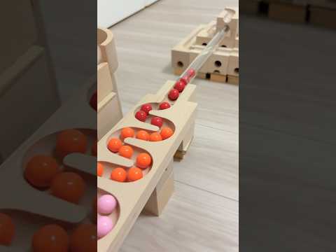 Marble Run Race ASMR | Transparent Tunnel