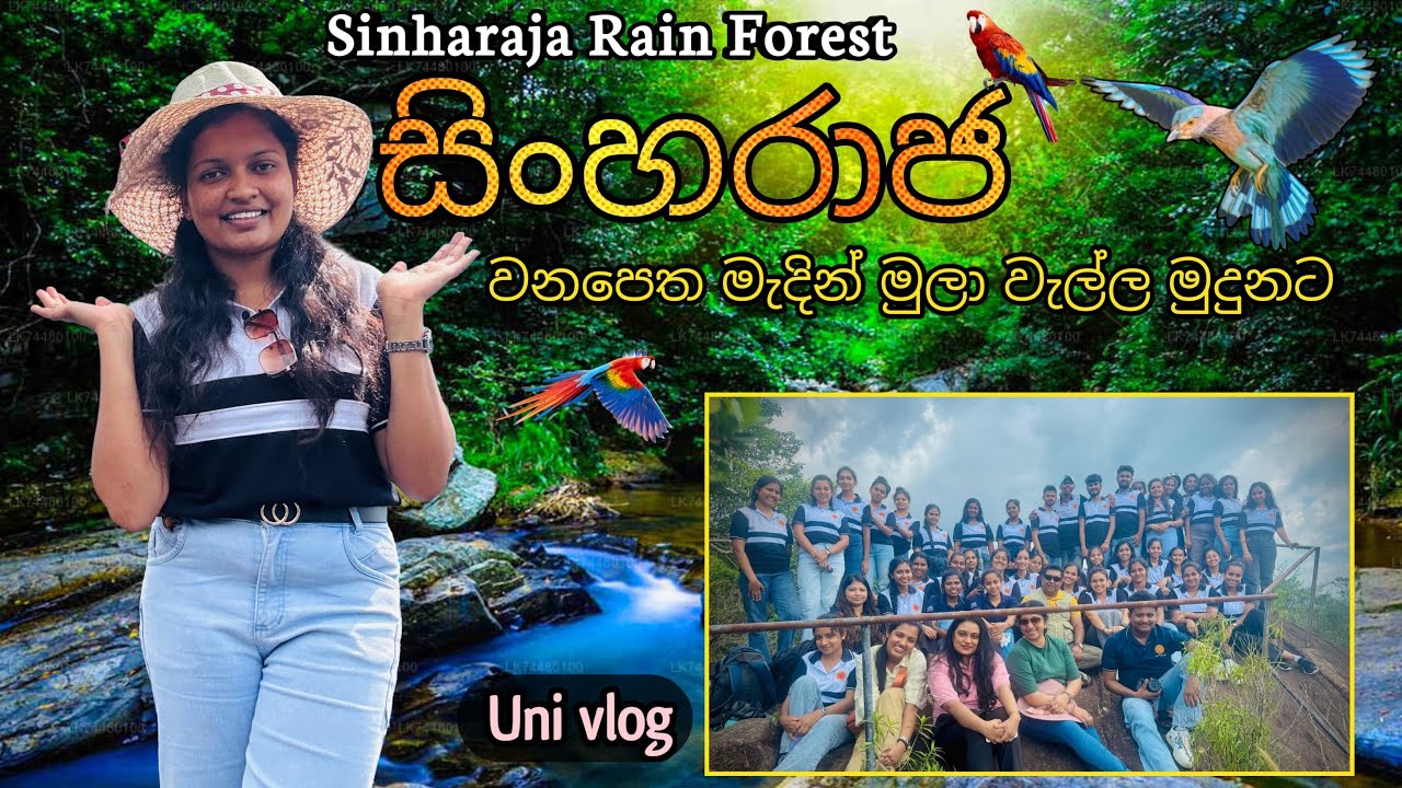 #universitylife #travelvlog Sinharaja Rain Forest සිංහරාජ වන පෙත මැදින් මුලා වැල්ල මුදුනට ❤️☘️🌏9Vlog