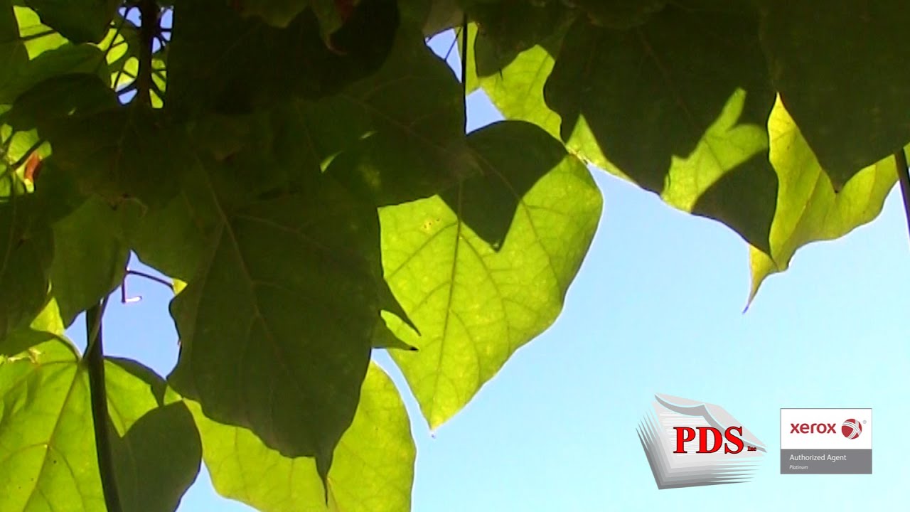 Recycle Toner Cartridges and Watch Your Business Grow