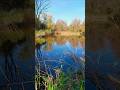 Sıcak Yansıma🌱warme reflectie #doğa #huzur #nature #aboneol