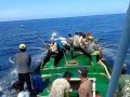 Mancing cakalang Km. Data Rizky part 2