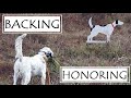 Backing Honoring For Pointing Dogs