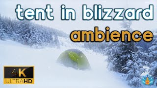 Tent Flapping in Blizzard: Howling Wind and Snowstorm Sounds for Sleep / Study / Relax