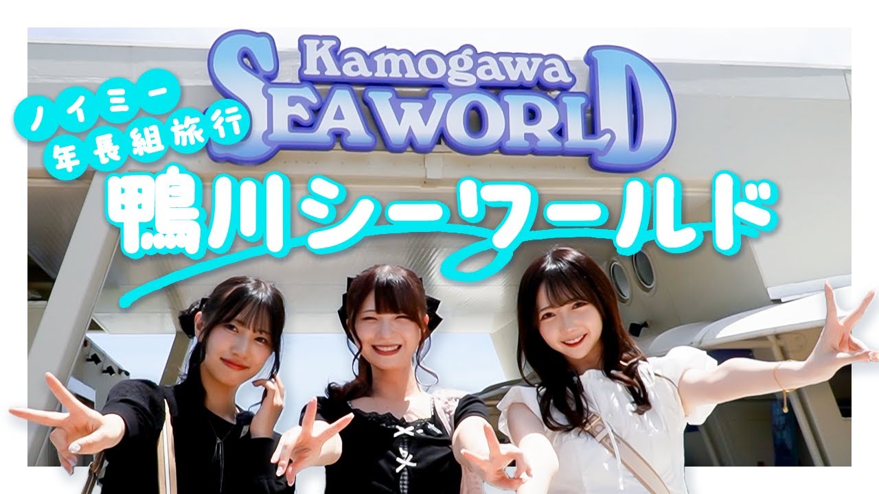 【ゆる旅】ノイミー年長組で鴨川シーワールドを大満喫してきました🐠🎶大迫力のシャチパフォーマンスに大興奮！