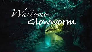 Waitomo Glowworm | Hang đom đóm kỳ diệu 30 triệu năm tuổi ở Newzealand