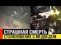 Водитель джипа в Иркутской области погиб после столкновения с медведем на трассе.