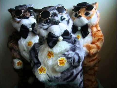 мягкая игрушка танцующий кот. игрушка кот танцует и поет. кот базилио игрушка поющая. музыкальный кот игрушка. игрушка танцующий кот базилио.