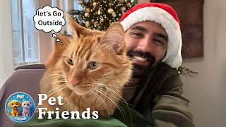Cat Discovers Outdoors for the First Time — His Reaction Is Priceless 🐾