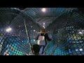 Rope Bridge over SHARKS! 360° video