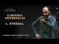 Dani Drumea | Eliberarea credincioșilor | I | 4. Stresul | 10.11.2023 | CiresariiTV | BST BEIUȘ