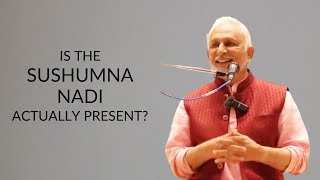 Is the sushumna nadi actually present? | Sri M | Melbourne 2023