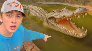 Löysin alligaattorin hylätystä lammesta!