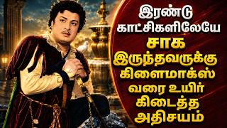 பாகவதர் படத்திலேயே எம்ஜிஆரை காதலிக்க துவங்கிய நடிகை| CINEMA FOOD