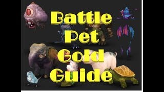 Breg's Battle Pet Gold Guide: What Pets to Sell, Addons, How to Flip Pets
