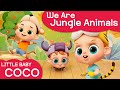 [리틀베이비 코코] We Are Jungle Animals🐯 | 영어 동요🎵 | 동물 | 사슴🦌 | 원숭이🐒 | 물소🐃 | 늑대🐺 | 호랑이🐅 | LittlebabyCoCo