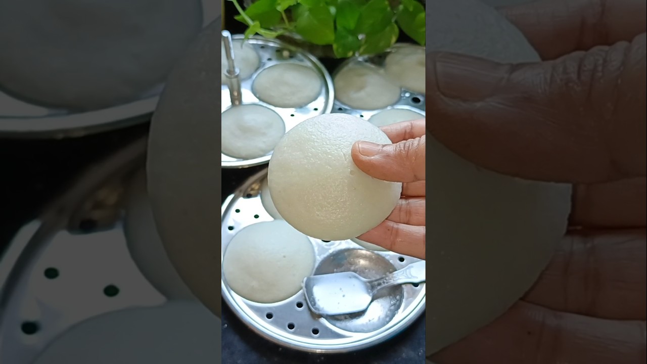 ইডলি রেসিপি | Idli Recipe | Taniya's Rannaghor