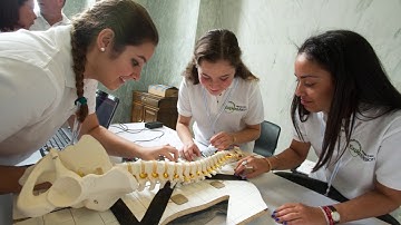 Toshiba and NSTA Celebrate 25 Years of ExploraVision STEM Partnership