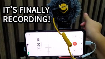 Phone (USB Type-C) Can