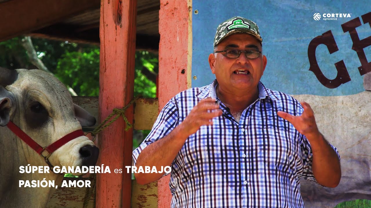 CORTEVA REGIONAL   YUCATAN