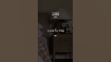 #قران #احمد_العجمي  #quran #قران_كريم #تلاوة_خاشعة #alaa_mustafa_1