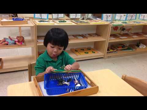 The Best Daycare for your Child in Pembroke Pines! | Montessori Ivy League Academy