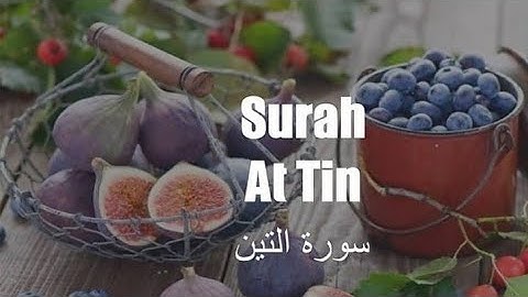 سورة التين {القارئ يوسف نافع} تلاوة تبكي الحجر
