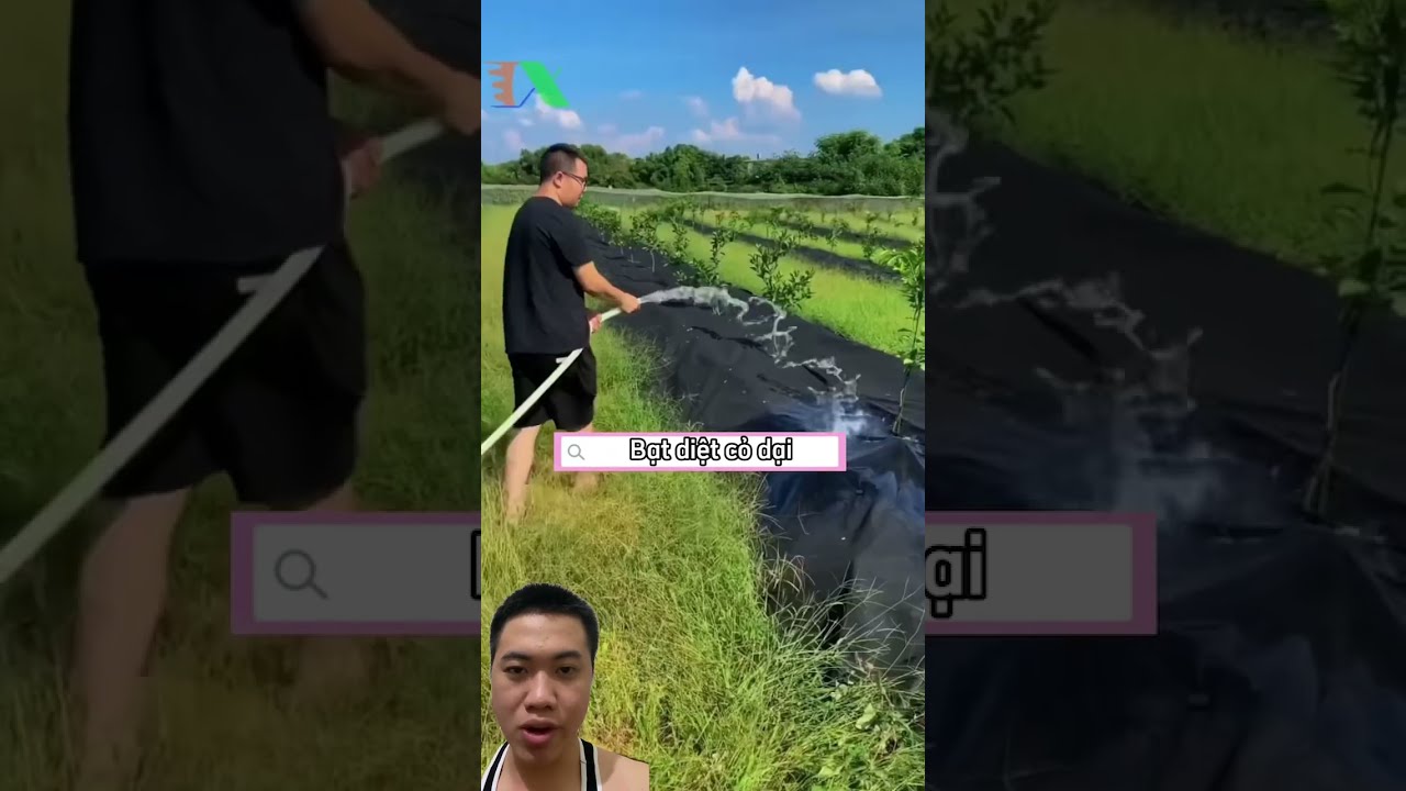 Biological Weed Control #khanh1st #farming #agriculture - youtube