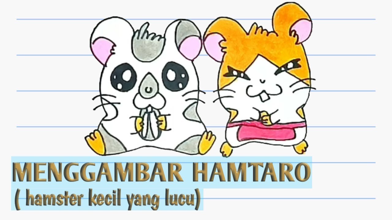 Kumpulan gambar untuk Belajar mewarnai Gambar Hamster  