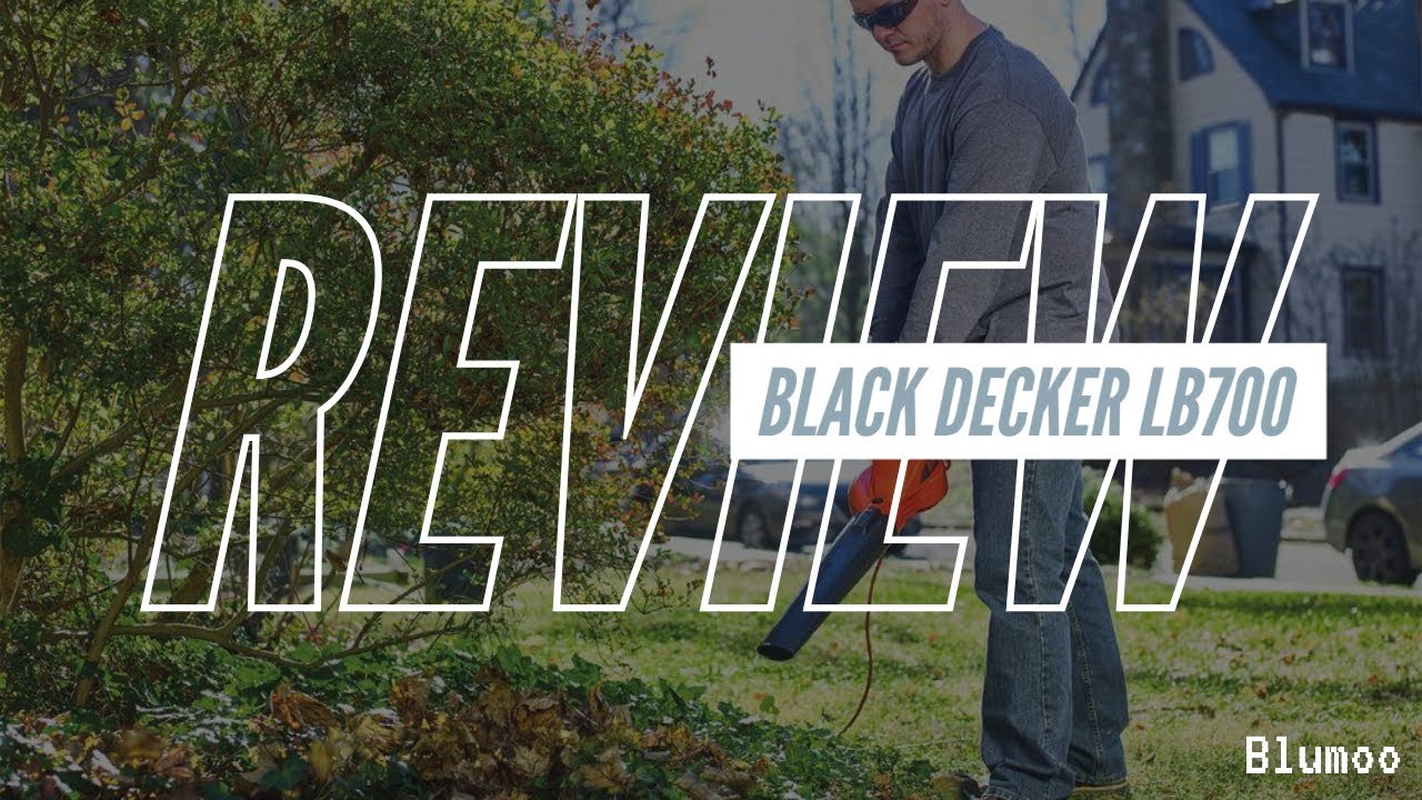 Black & Decker LB700 Review