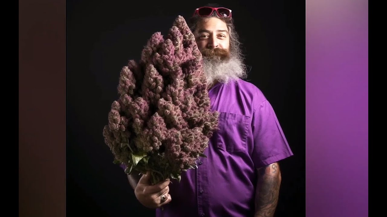 Tone Loc - Cheeba Cheeba w/AI Prompts