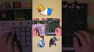 Mpc sample + Digitakt2 + Opxy = Jam