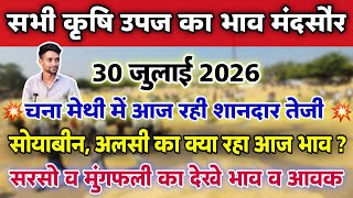 All Agricultural Produce Prices Mandsaur Mandi July 30, 2026 | Mandsaur Mandi market rates #mands... screenshot 4
