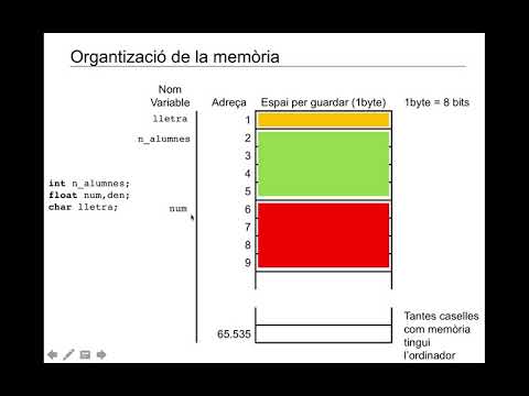 Vídeo: Com s'emmagatzemen les variables?