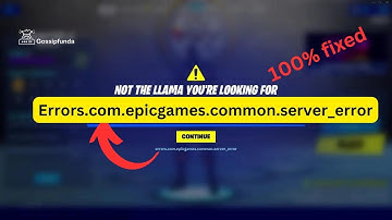 Errors.com.epicgames.common.server_error | Epic games server error solution