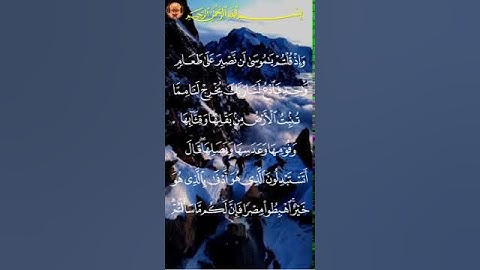 المصحف الكريم بتقنية ثمانية أبعاد * القارئ : الشيخ سعد الغامدي * سورة البقرة الآية 61_01