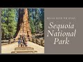 Sequoia National Park | Full Time RV Living | Sequoia Ranch RV