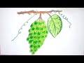 Grapes Drawing | How to Draw Grapes Easily | How to Draw Grapes Step by Step | Grapes Drawing easy🍇