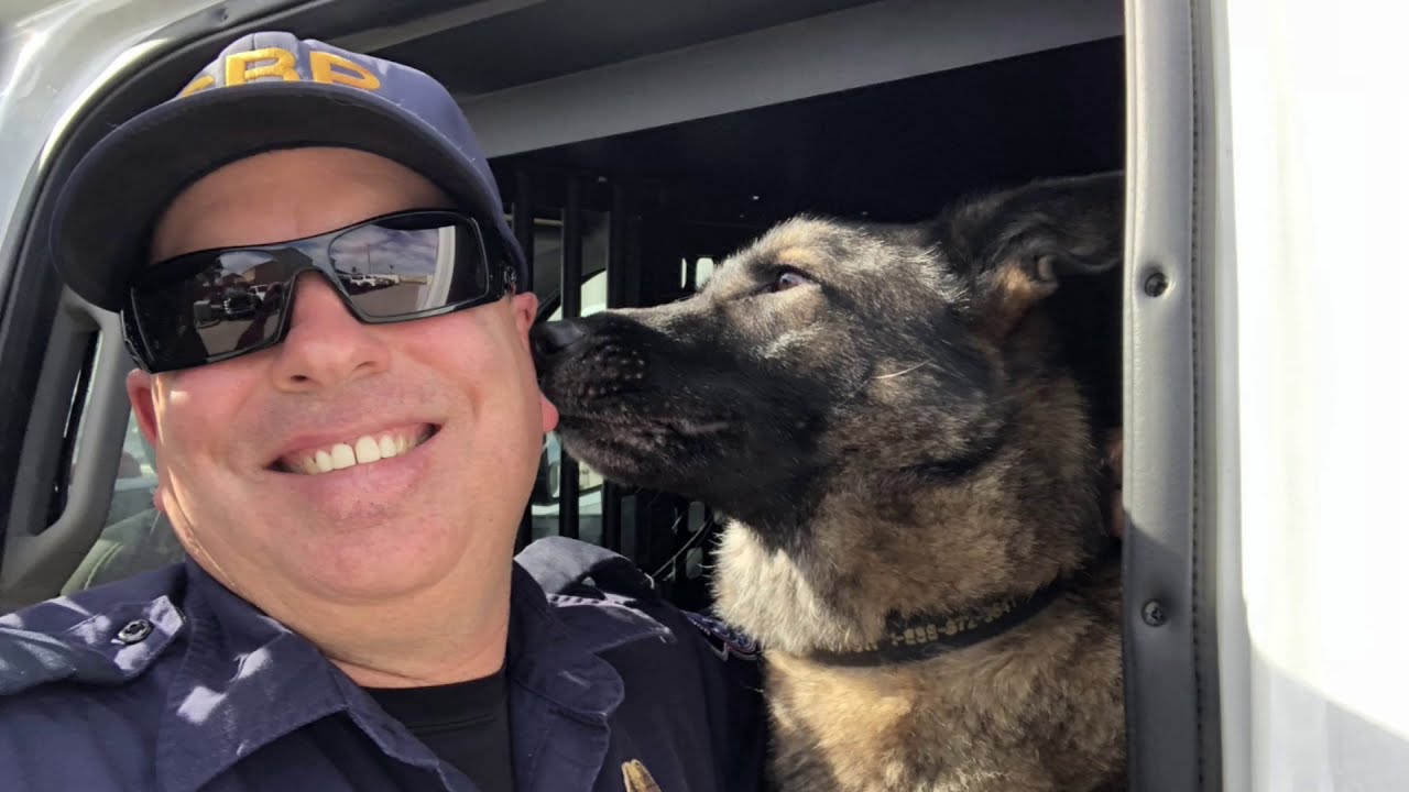 SAYING GOODBYE TO MY K9 PARTNER The Journey Begins To Illinois YouTube