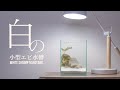 【小型シュリンプ水槽】白い水槽をシンプルレイアウトで立ち上げる #アクアリウム #エビ 【ビバアクア】