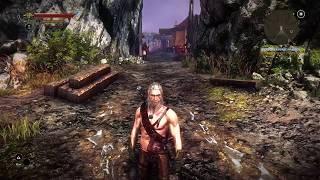 The Witcher 2 bug