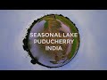 A walk in the pond, in Puducherry, India #360 #vr #lake #puducherry #relaxing