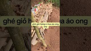 áo bắt ong bạt tàu .lh 0964502643