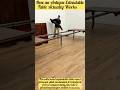 The Ultimate Space-Saving Secret: Telescopic Expansion #satisfying