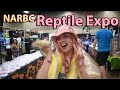 Narbc reptile expo  farm animals update