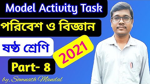 Class 6 Science Model Activity Task Part 8 (November) || Wbbse Model Activity Task 2021
