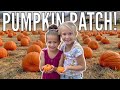Monster Bouncy House Slides and Mazes at the Best Pumpkin Patch Ever!