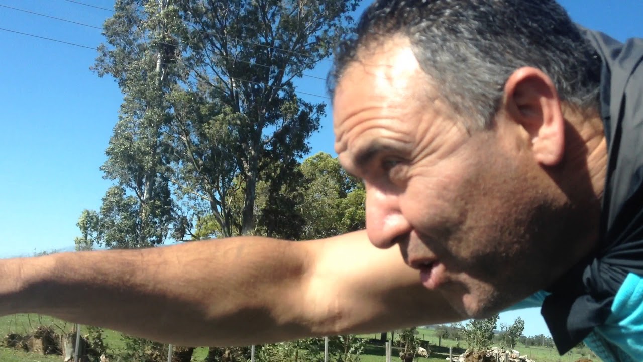 camera iphone 8 plus apk herói do brasil prende lula!!