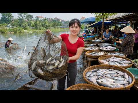 Catching Lots Of Fish With Net Traps | Lake Fishing & Market Selling