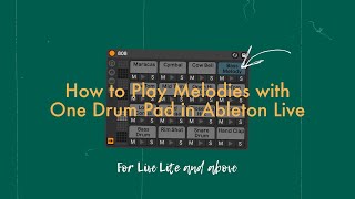 How to Play Melodies with One Drum Pad in Ableton Live (2 Methods for Live Lite and up) screenshot 1