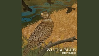 Long as I Can See the Light